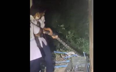 Bắt sống trăn khổng lồ dài 4,5 mét bò vào vườn nhà dân