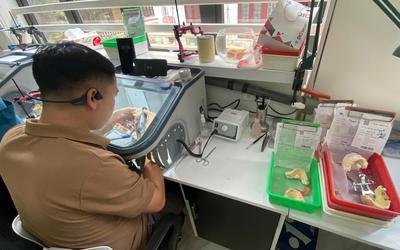 Hà Nội kiểm tra loạt cơ sở sản xuất, kinh doanh răng giả, xử phạt hơn 1,3 tỷ đồng
