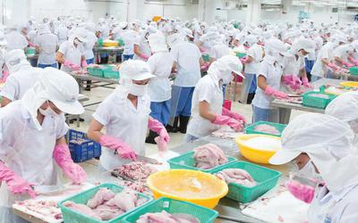 Doanh thu "bốc hơi" 74%, Thủy sản Mekong vẫn báo lãi gấp 3 lần cùng kỳ