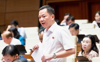 Kiến nghị đưa kim cương vào ngành nghề kinh doanh có điều kiện