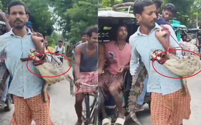 Người dân ghi lại cảnh tượng "nổi da gà" trên đường