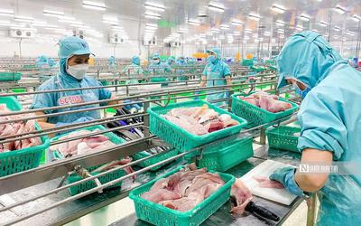Tập đoàn Sao Mai báo lãi tăng gần 3 lần trong nửa đầu năm 2026