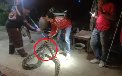 Đang ngồi trong nhà, người dân bất ngờ thấy cảnh tượng "nổi da gà", cả làng kéo đến xem