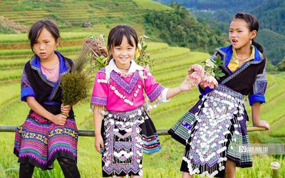 Sẽ trình Quốc hội phương án thống nhất 4 chương trình mục tiêu quốc gia