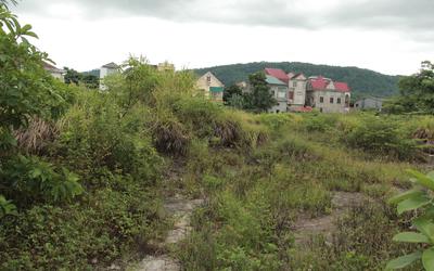 Cận cảnh khu chợ cũ hơn 10.000m2 bỏ hoang nhiều năm, cỏ mọc um tùm