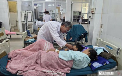 Ngộ độc bánh mỳ khiến nhiều người nhập viện: Thách thức trong khoảng trống quản lý cơ sở