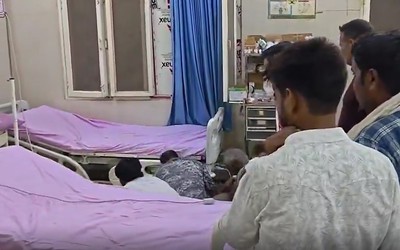 Bị rắn cắn, người đàn ông có màn "xử lý" khiến cả bệnh viện náo loạn