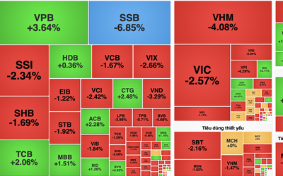 VN-Index mất mốc 1.800 điểm trong phiên đầu tiên sau khi được nâng hạng