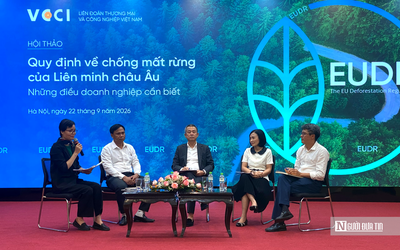 Từ vùng nguyên liệu đến thị trường EU: Bài toán truy xuất của doanh nghiệp Việt