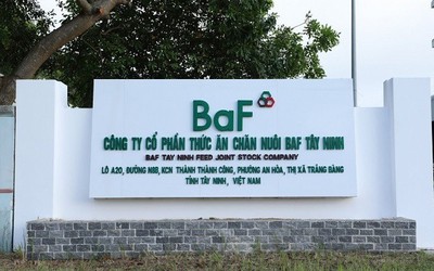 BAF sắp tung “gói” ESOP 80 tỷ đồng, giá ưu đãi cho 242 nhân viên