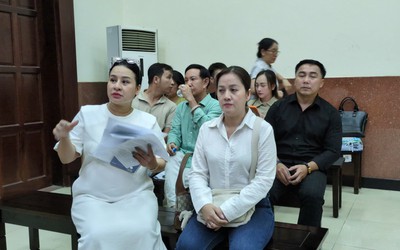 Dừng phiên tòa vụ chia di sản của cố nghệ sĩ Vũ Linh vì xuất hiện tình tiết mới