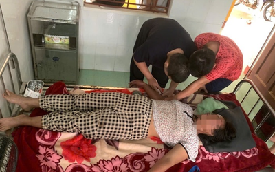 Đi chăn bò, người phụ nữ 44 tuổi bị ong vò vẽ đốt đến hôn mê