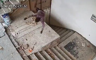 Đang làm việc, nam công nhân bất ngờ rơi xuống từ tầng 3 của trường học