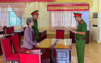 Bán đất 20 tỷ đồng nhưng khai 5 tỷ, cụ bà bị khởi tố