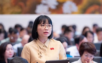 ĐBQH: Giá điện hợp lý không đồng nghĩa với giá điện thấp bằng mọi cách