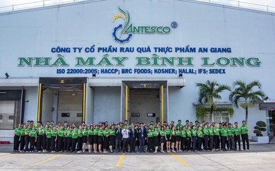 Antesco chuẩn bị phát hành gần 5,9 triệu cổ phiếu trả cổ tức năm 2025