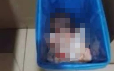Nghe tiếng khóc trong thùng rác, nhân viên vệ sinh kiểm tra thì sốc nặng