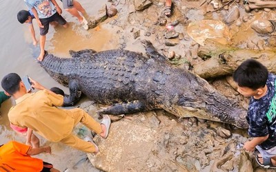 Đi kiểm tra lưới, ngư dân sốc nặng khi thấy cảnh tượng trước mắt