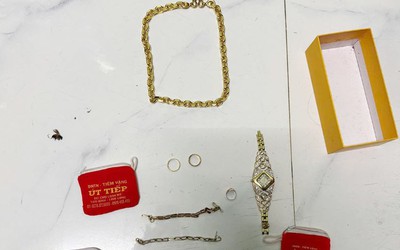 Trộm số vàng trị giá 1 tỷ đồng, nam thanh niên bị bắt khi đang đi nghỉ dưỡng
