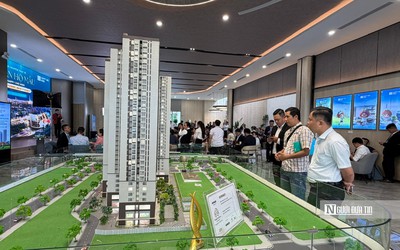 Doanh nghiệp, cá nhân môi giới bất động sản "thanh lọc và chuyên nghiệp hóa"