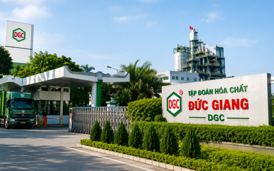 Cổ phiếu DGC có nhiều biến động trước ngày chốt quyền nhận cổ tức 80%