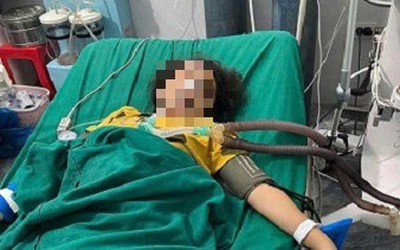 2 người tử vong sau khi uống nước từ nguyên liệu thực vật, Bộ Y tế cảnh báo khẩn