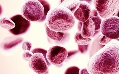 Máu có 3 chỉ số bất thường này, cần đi khám càng sớm càng tốt