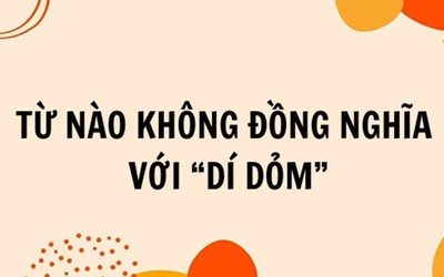 15 câu đố giúp khai thông trí não của bạn