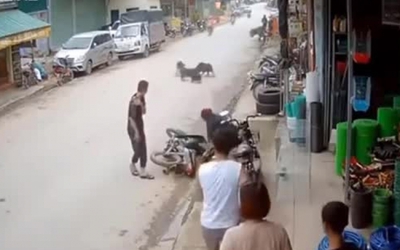 Clip: Phóng xe máy như bay tông trúng con chó, tài xế gặp họa
