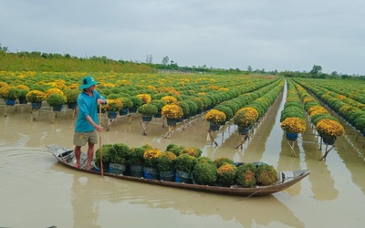 “Thủ phủ hoa” lớn nhất miền Tây vào xuân