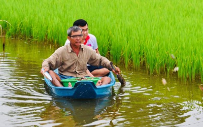 Xây dựng Bạc Liêu trở thành trung tâm công nghiệp tôm của cả nước