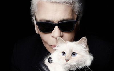 Nhận tài sản thừa kế từ NTK Karl Lagerfeld, Choupette sẽ là chú mèo giàu nhất thế giới