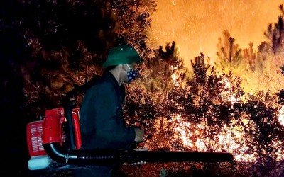 Hà Tĩnh: 400 người trắng đêm nỗ lực dập lửa cứu rừng