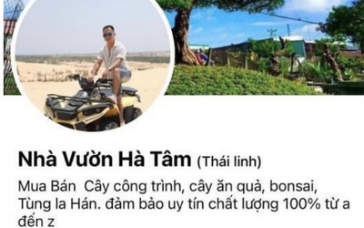 Hà Tĩnh: Bắt đối tượng lừa bán cây cảnh