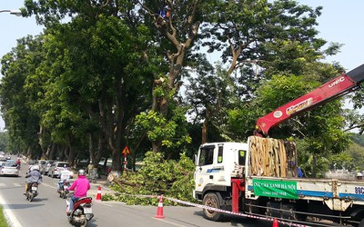 Hà Nội cấm ô tô đường Kim Mã, đào hầm tuyến Nhổn – Ga Hà Nội