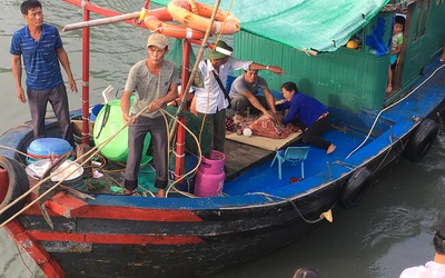 Đã tìm được thi thể cháu bé rơi xuống biển Hạ Long mất tích