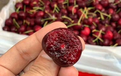 Thương chiến Mỹ - Trung, "nước mắt" cherry mặn chát vì giá rẻ bằng một nửa