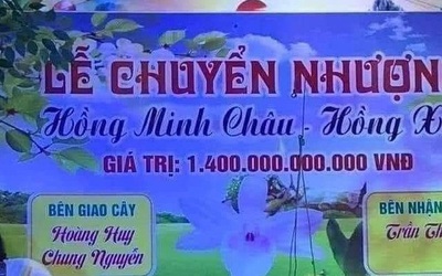 Chậu lan đột biến có giá trên trời 1.400 tỷ đồng và lời giải thích bất ngờ