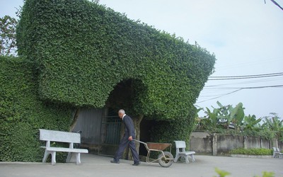 Hút hồn làng quê bên bến Tam Soa