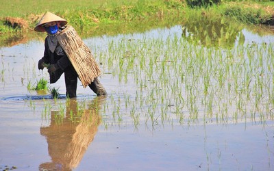 Hà Tĩnh nắng nóng kỷ lục, bác sĩ đưa cảnh báo với người phải làm việc ngoài trời