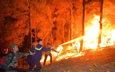 Cháy rừng kinh hoàng, hàng nghìn chiến sĩ xuyên đêm dập lửa