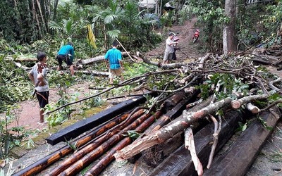 Tiếp tục gia tăng số nạn nhân do bão số 3: 8 người tử vong, 11 người mất tích