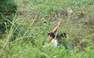 Ảnh: Cơ quan công an ráo riết tìm nữ sinh học viện Ngân hàng