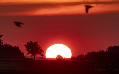 Tháng 6/2019 là tháng nóng nhất trong 140 năm qua trên toàn cầu