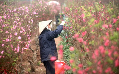 Đề xuất hai phương án nghỉ Tết Tân Sửu 2021 kéo dài 7 ngày