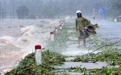 Bão số 10 cách Quảng Ngãi - Phú Yên 210km, dự kiến sơ tán 28.285 người