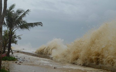 Ứng phó áp thấp nhiệt đới có thể mạnh lên thành bão