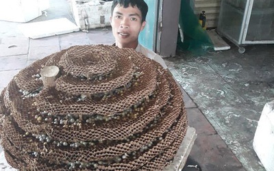 Dậy sóng mạng xã hội: Chàng trai Nghệ An khoe tổ ong khủng 35kg của loài ong có độc tố cực mạnh