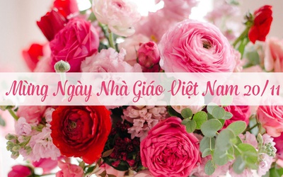 Bài phát biểu ngày Nhà giáo Việt Nam 20/11 trang trọng, ý nghĩa nhất 2018