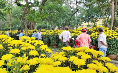 Mách bạn chọn hoa ngày Tết chuẩn, tươi lâu, màu bền đẹp